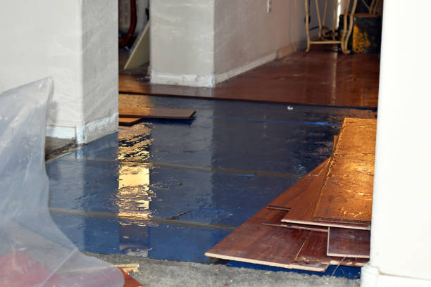 Professional Basement Flood Cleanup technician working in Gratiot, OH